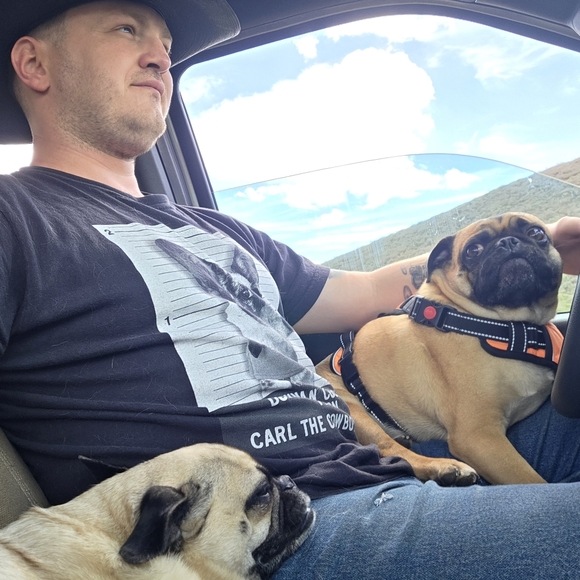 Cognar Fjallhersir är rolig och smart. Jag bor i Arizona och jag har två mopsar. - Picture 9 of 12